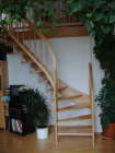 Treppe in Buche